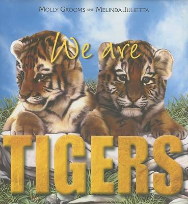 Book cover for We Are Tigers