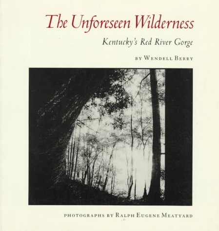 Book cover for The Unforeseen Wilderness