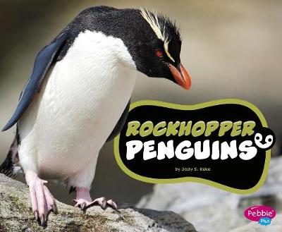 Book cover for Rockhopper Penguins