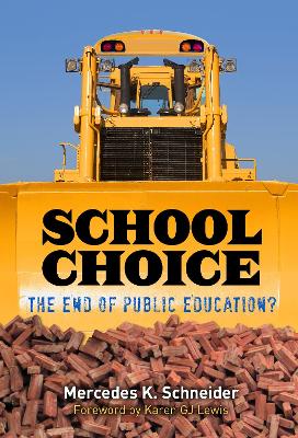 Book cover for School Choice