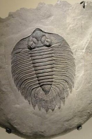 Cover of The Cool Fossil of a Arctinurus Boltoni Trilobite Journal