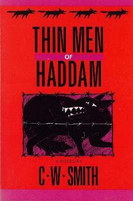 Book cover for Thin Men of Haddam