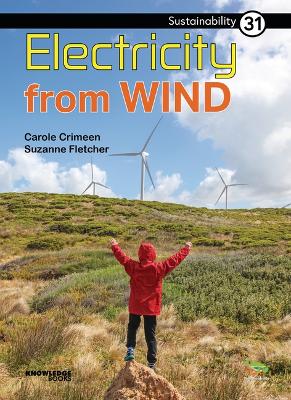 Book cover for Electricity from Wind