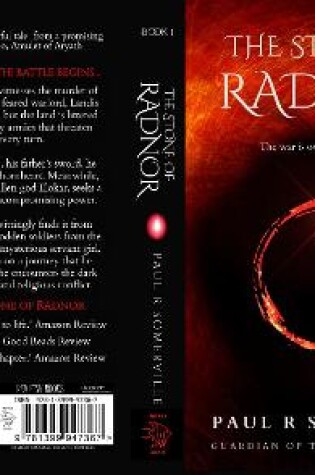 Cover of The Stone of Radnor