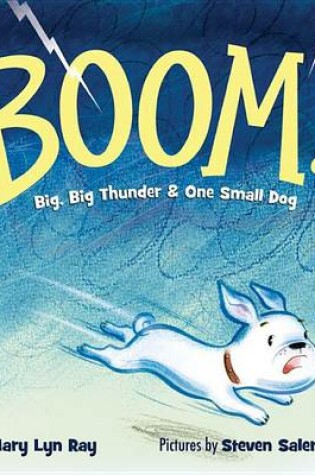 Cover of Boom!