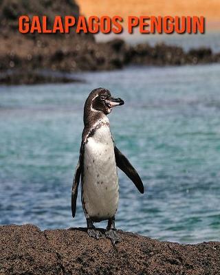 Book cover for Galapagos Penguin