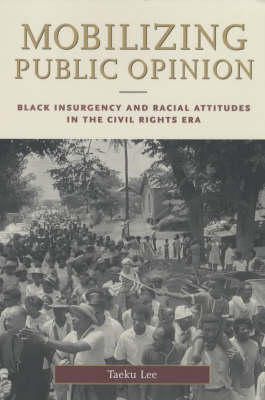 Book cover for Mobilizing Public Opinion