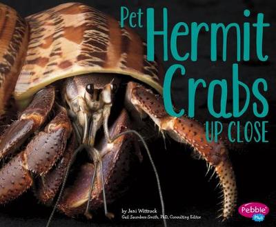 Book cover for Pet Hermit Crabs Up Close