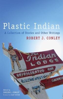 Book cover for Plastic Indian