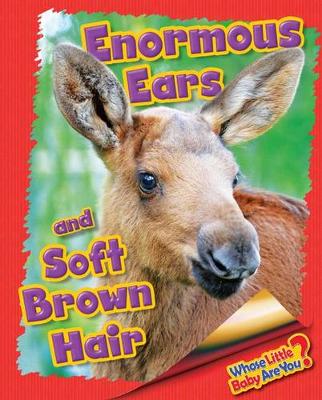 Cover of Enormous Ears and Soft Brown Hair (Moose)