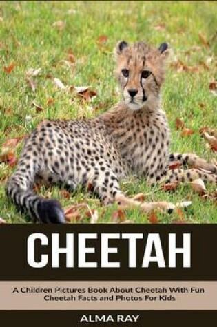 Cover of Cheetah