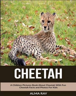 Book cover for Cheetah