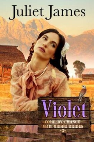 Cover of Violet - Book 3 Come By Chance Mail Order Brides