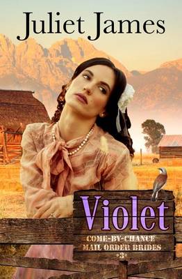 Book cover for Violet - Book 3 Come By Chance Mail Order Brides