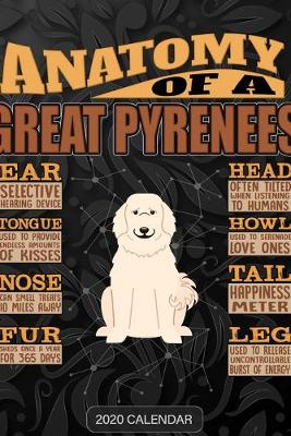 Book cover for Anatomy Of A Great Pyrenees