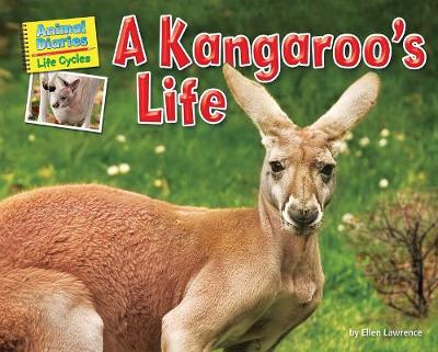Book cover for A Kangaroo's Life
