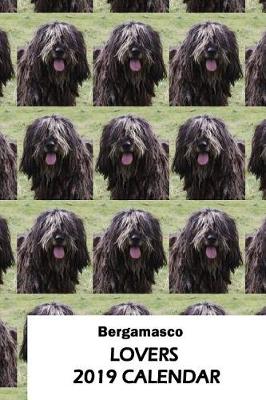 Book cover for Bergamasco Lovers 2019 Calendar