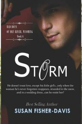 Cover of Storm Bad Boys of Dry River, Wyoming Book 6