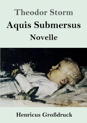 Book cover for Aquis Submersus (Großdruck)