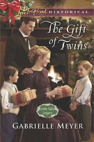Cover of The Gift of Twins