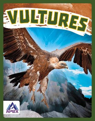 Book cover for Vultures