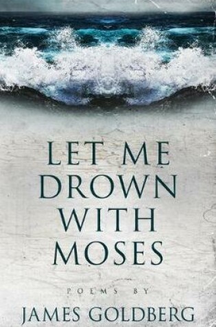 Cover of Let Me Drown With Moses
