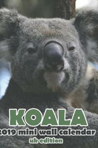 Cover of Koala 2019 Mini Wall Calendar (UK Edition)