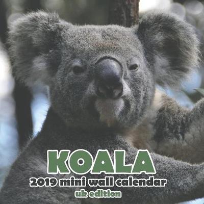 Book cover for Koala 2019 Mini Wall Calendar (UK Edition)