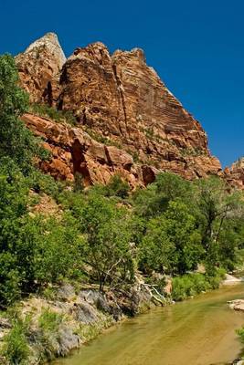 Book cover for A Picturesque Creek at Zion National Park, Utah