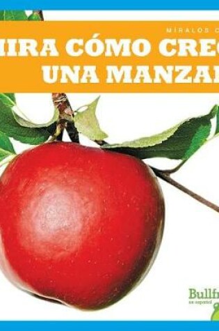 Cover of Mira Cómo Crece Una Manzana (Watch an Apple Grow)