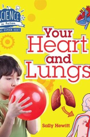 Cover of Human Body: Your Heart and Lungs