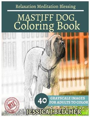 Book cover for Mastiff Dog Coloring Book for Adults Relaxation Meditation Blessing