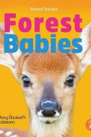 Cover of Forest Babies