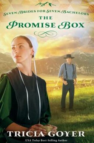 Cover of The Promise Box