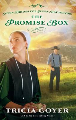 Cover of The Promise Box