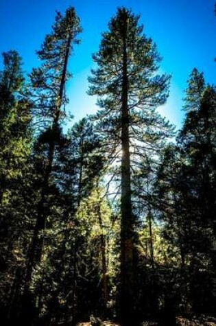 Cover of A Secluded Wooded Valley in Yosemite National Park Journal