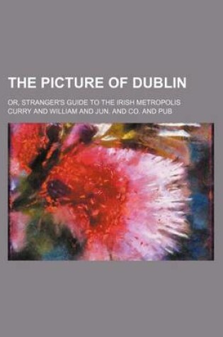 Cover of The Picture of Dublin; Or, Stranger's Guide to the Irish Metropolis