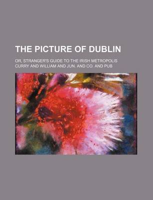 Book cover for The Picture of Dublin; Or, Stranger's Guide to the Irish Metropolis