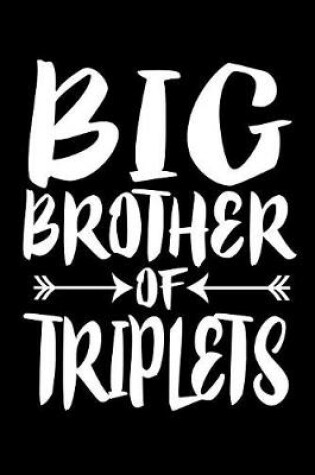 Cover of Big Brother Of Triplets