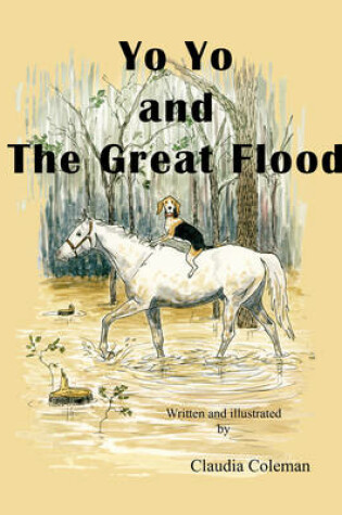 Cover of Yo Yo and The Great Flood