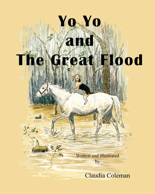 Book cover for Yo Yo and The Great Flood