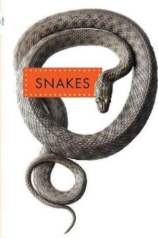 Cover of Snakes