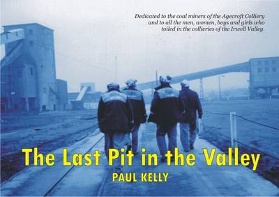 Book cover for The Last Pit in the Valley