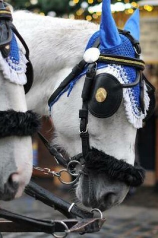 Cover of Jumbo Oversized a Pair of Beautiful White Carriage Horses