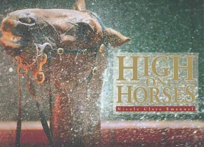 Book cover for High on Horses