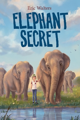 Book cover for Elephant Secret