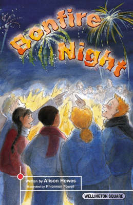 Book cover for Wellington Square Think About it Bonfire Night