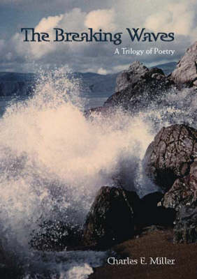 Book cover for The Breaking Waves