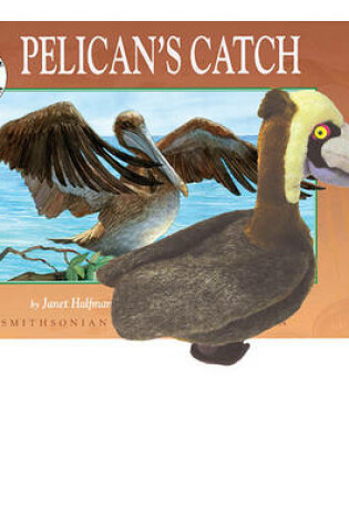Cover of Pelicans Catch