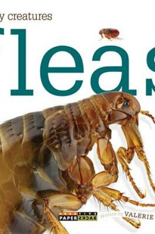 Cover of Fleas